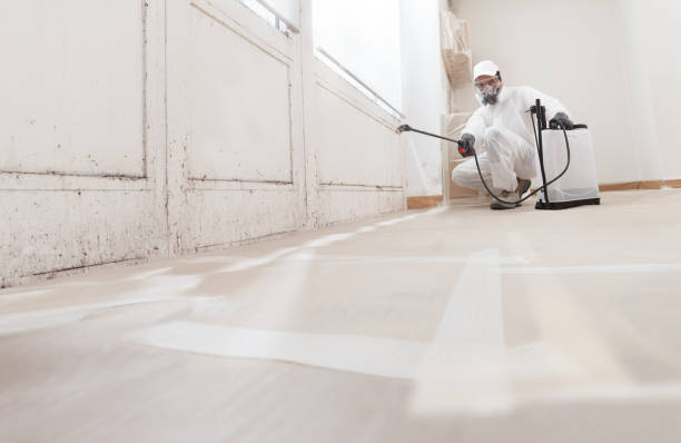 24/7 Emergency Basement Mold Remediation experts in Keansburg, NJ